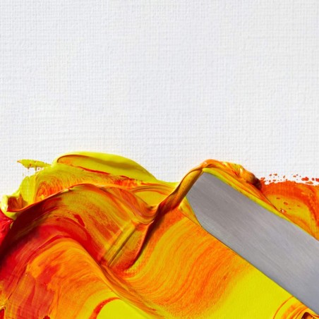 Set Introduttivo Colori a Olio Artists Winsor&Newton, 10 colori da 21ml