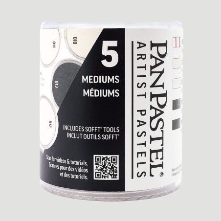 Set con 5 medium PanPastel + accessori