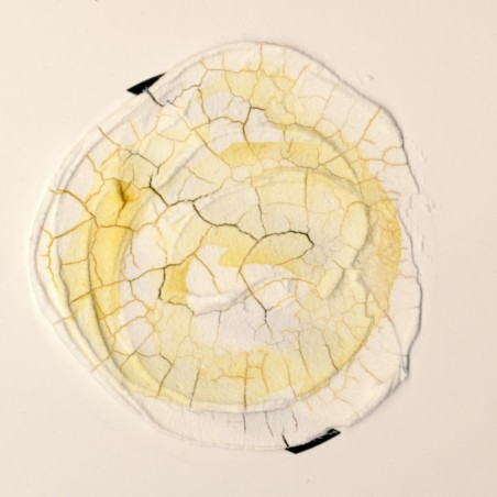 Golden Crackle Paste, Pasta per Effetto Screpolante