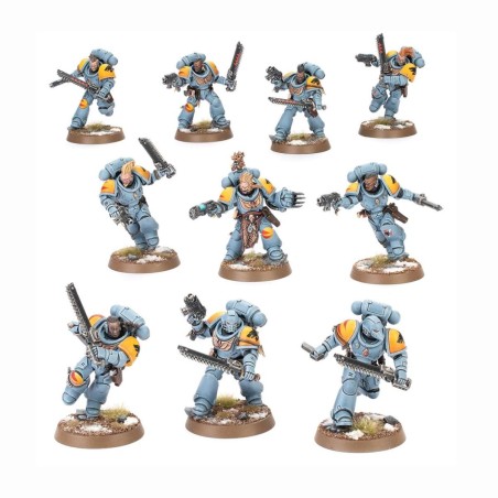 Blood Claws, Confezione Warhammer 40000