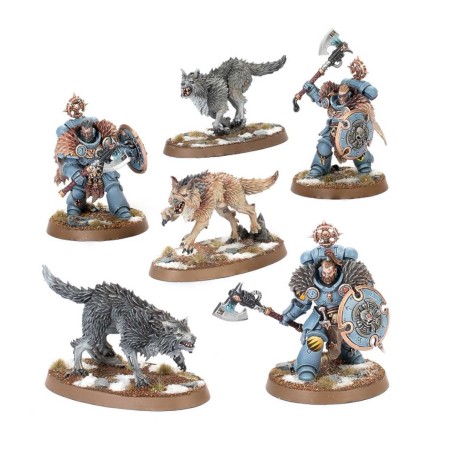 Wolf Guard Headtakers, Confezione Warhammer 40000