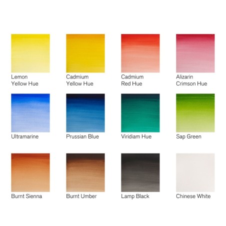 Set 12 Acquerelli Cotman Winsor&Newton, Formato 1/2 Godet