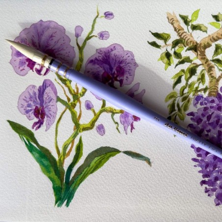 Pennello Lilla Pretty Lili Edition da Vinci, Sintetico per acquerello Serie 493