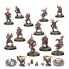 Blood Bowl Bretonnian Team Warhammer