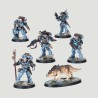 Wolf Scouts Kill Team, Confezione Warhammer 40000