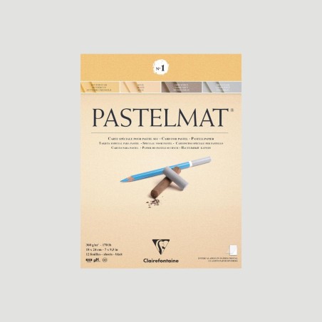 Album Pastelmat 1 Clairefontaine, 12 fogli da 360g Ranuncolo, Mais, Grigio Scuro e Grigio Chiaro