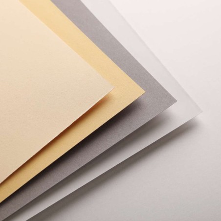 Album Pastelmat 1 Clairefontaine, 12 fogli da 360g Ranuncolo, Mais, Grigio Scuro e Grigio Chiaro