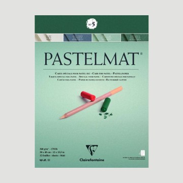 Album Pastelmat 5 Clairefontaine - 12 fogli da 360gr Verde chiaro, Verde scuro, Blu, Bianco