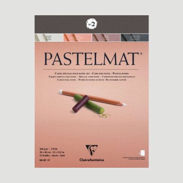 Album Pastelmat 2 Clairefontaine, 12 fogli da 360gr Bianco, Marrone, Siena, Antracite