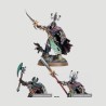 Liege-Mortek, Confezione Warhammer Age Of Sigmar
