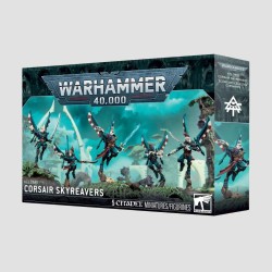 Corsair Skyreavers, Confezione Warhammer 40000