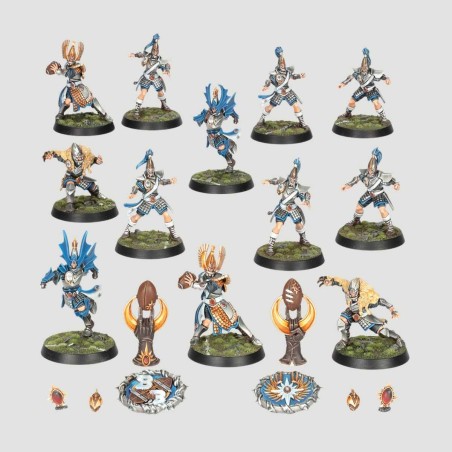 High Elf Blood Bowl Team The Caledor Dragons
