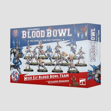 High Elf Blood Bowl Team The Caledor Dragons