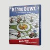 Blood Bowl High Elf Pitch