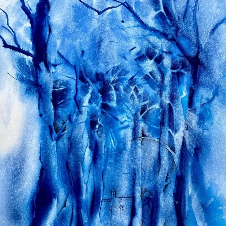 Fusione e Definizione nell'Acquarello, workshop con Adriana Buggino. Sabato 16 Maggio 2026