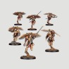Venatari Sodality, Confezione Warhammer The Horus Heresy