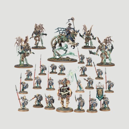 Battleforce: Falange della Miriade Nulla, Confezione Warhammer Age Of Sigmar