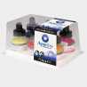 Set Aquafine Ink Daler Rowney - 6 inchiostri colorati