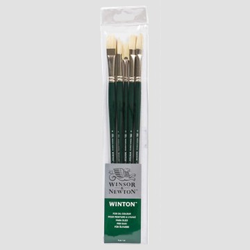 Set 5 Pennelli Winton - Winsor&Newton