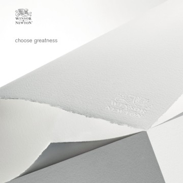 Fogli di Carta Professional W&N - 56x76 Grana Fine 100% Cotone