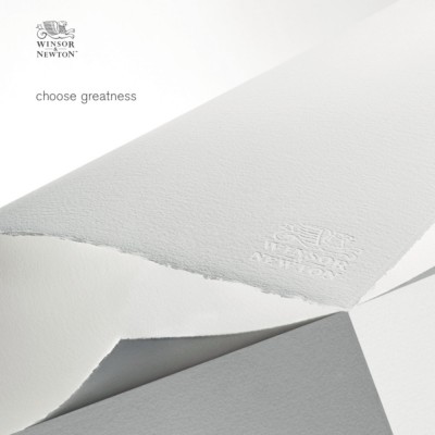 Fogli di Carta Professional W&N - 56x76 Grana Fine 100% Cotone
