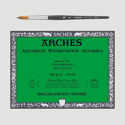 OFFERTA: Arches Grana Fine + Princeton Sintetico Martora