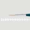 Pennello Borciani e Bonazzi Unico OFF WHITE - punta Tonda lunga serie 830 Pennello Borciani e Bonazzi Unico OFF WHITE - punta Tonda lunga serie 830