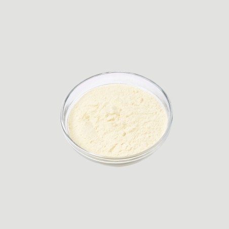 Resina in Polvere Charbonnel 500g - MomArte