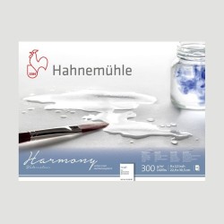 Blocco per Acquerello Harmony Hahnemuhle, in cellulosa con grana grossa.