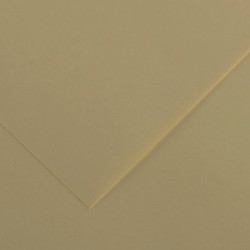 Fogli Sfusi Carta Permanente Canson, Colore Marrone 170gr