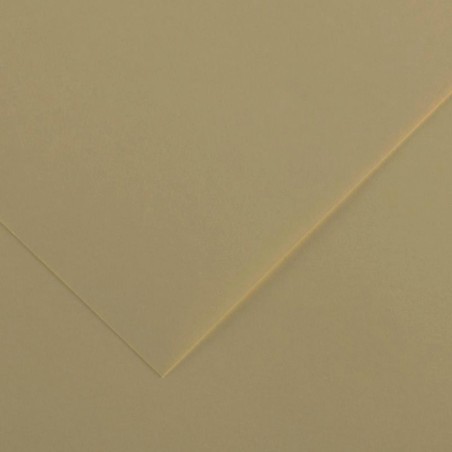 Fogli Sfusi Carta Permanente Canson, Colore Marrone 170gr