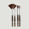 Set 4 Pennelli Kit per Arti Grafiche e Calligrafia Borciani e Bonazzi