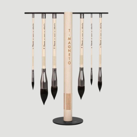 T-Magneto Tintoretto