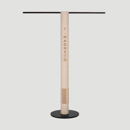 T-Magneto Tintoretto