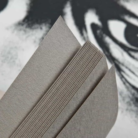 Album per disegno Carta Grigia Toned Paper Clay Fabriano