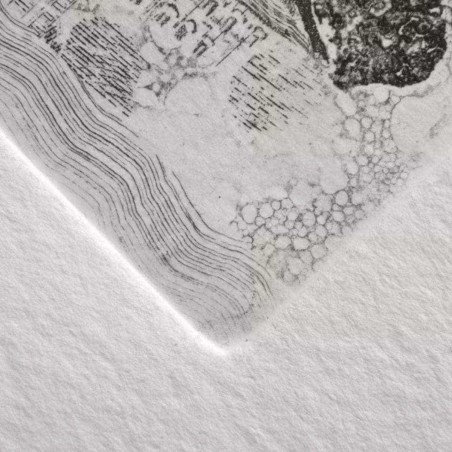 Fogli Sfusi Fabriano Unica, Formato 50x70cm Colore Bianco