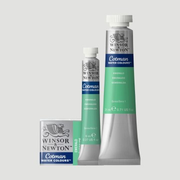 Acquerelli Cotman Winsor&Newton