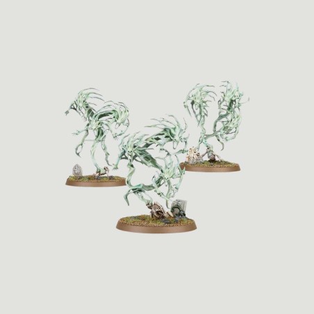 Nighthaunt Spirit Hosts, Confezione Warhammer Age Of Sigmar