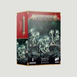 Nighthaunt Spirit Hosts, Confezione Warhammer Age Of Sigmar
