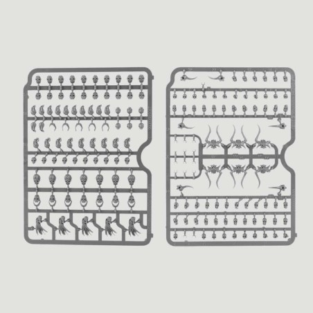 Citadel Skulls per Miniature Warhammer