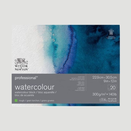 Blocco di Carta per Acquerello Grana Grossa Professional Winsor&Newton, 100% cotone