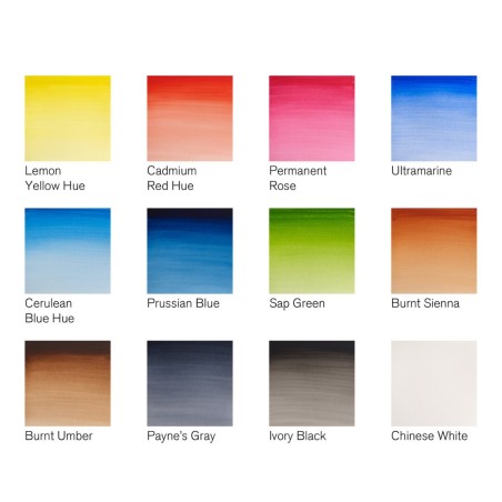 Set Acquerelli Cotman Winsor&Newton, 12 tubetti da 8ml e pennello