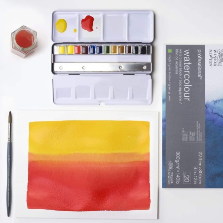Set Acquerelli Professional Watercolour Winsor&Newton, 12 mezzi Godet