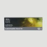 Set Acquerelli Professional Watercolour Winsor&Newton, 12 mezzi Godet