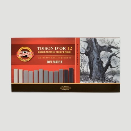 Set Carré Toison D'Or Koh-I-Noor, 12 tonalità di grigio