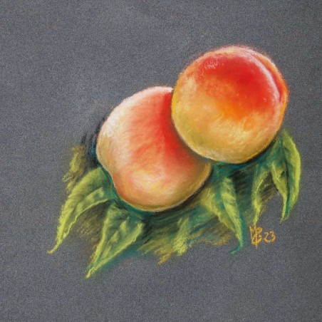 Album Pastelgrain 1 Clairefontaine, 12 fogli toni di grigio