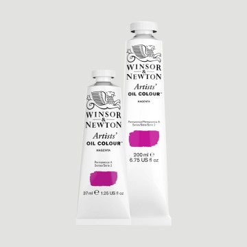 Colori a Olio Artists Winsor&Newton