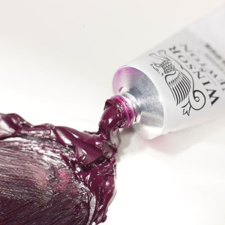 Colori a Olio Artists Winsor&Newton