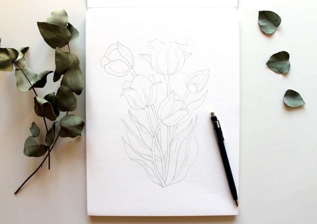 Disegno del tulipano