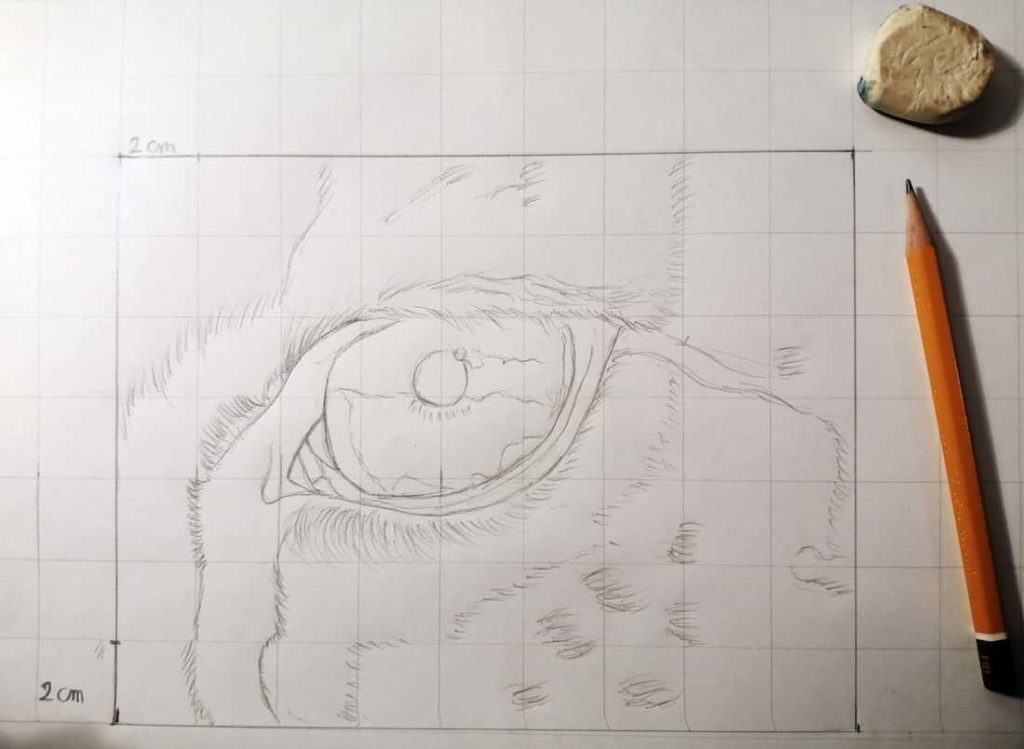 Lineart dell'occhio